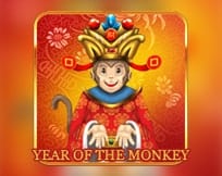 Year Of The Monkey